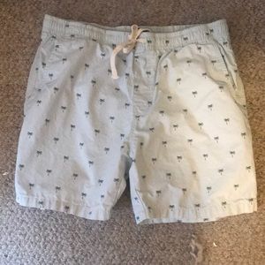 Men’s beach shorts / swim trunks